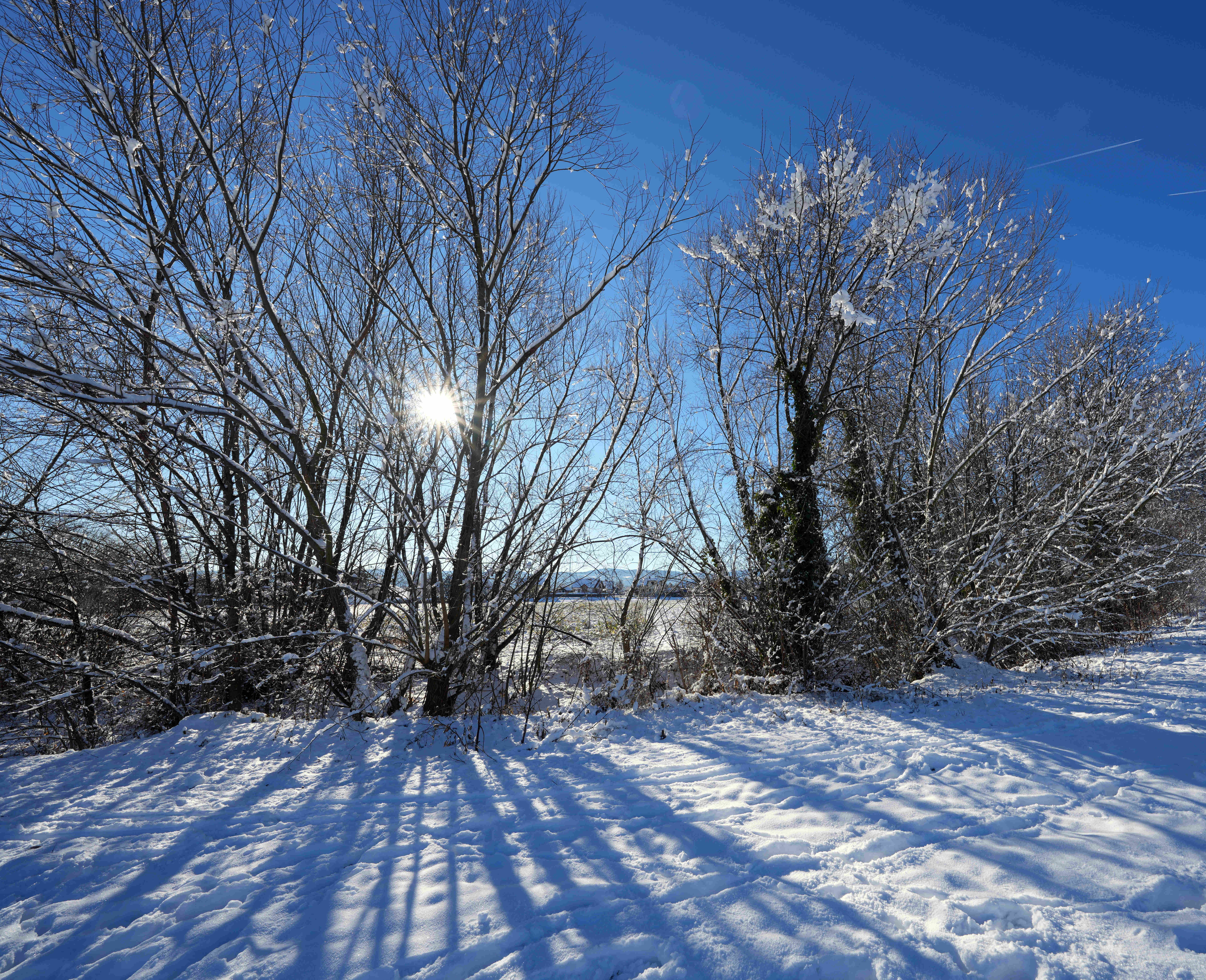 Snowy Sunburst